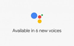 Google Assistant新增6种声音：讨好你的耳朵