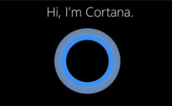 微软高管谈Cortana：继续专注生产力 全球市场仍不是重点
